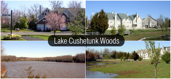 Lake Cushetunk is located just a few miles from the Whitehouse Station NJ Transit train stop